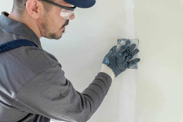 Best Indoor Air Quality Assessment  in Samsula Spruce Creek, FL