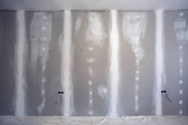 Best Water Damage & Mold Remediation  in Samsula Spruce Creek, FL